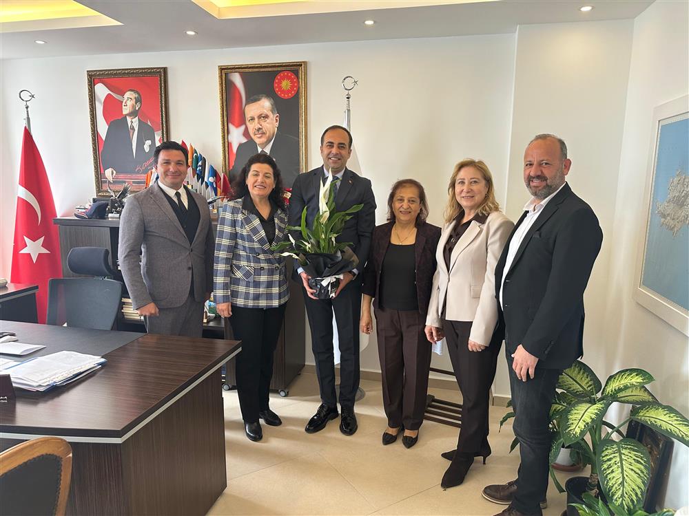 WhatsApp Image 2026-04-28 at 11.09.52.jpeg