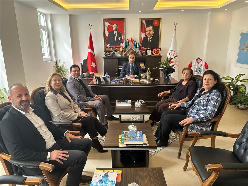 WhatsApp Image 2026-04-28 at 11.09.53.jpeg